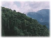 �J���R����