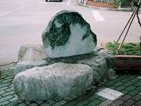 �q�X�C����