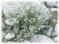 �J�����n�n�R